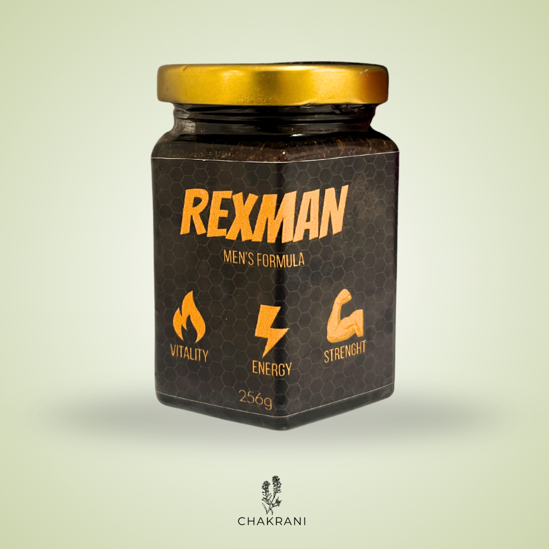 REXMAN  ENERGÍA